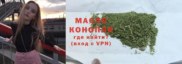 гидра Богородск