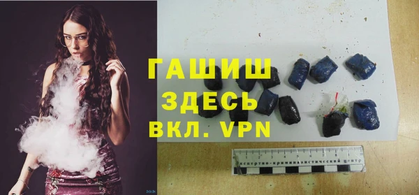 гидра Богородск