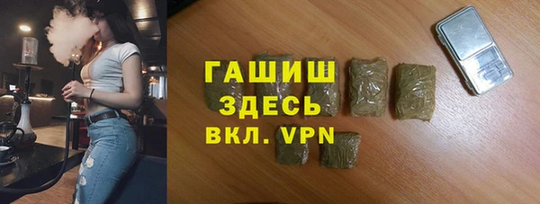 гидра Богородск