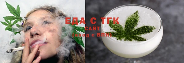 гидра Богородск