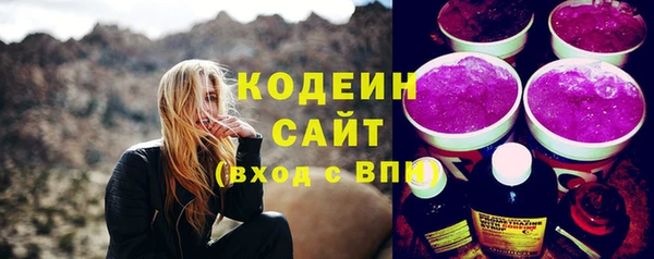 гидра Богородск